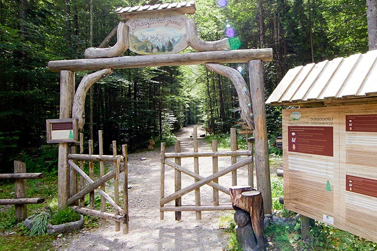 Pravlji?ni gozd Penziona Na razpotju