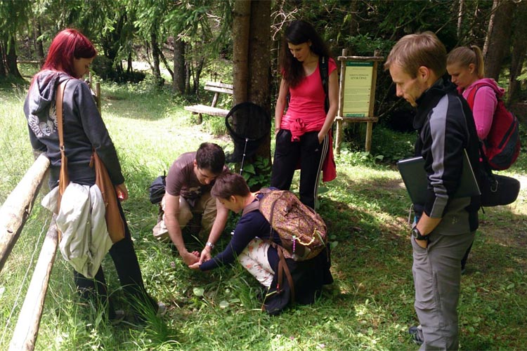 Razvoj interaktivnih didakti?nih gradiv za spodbujanje trajnosti